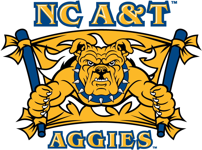 North Carolina A&T Aggies 2006-Pres Secondary Logo v2 DIY iron on transfer (heat transfer)